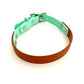 Design Charly - brown meets mint (Biothane Kollektion)