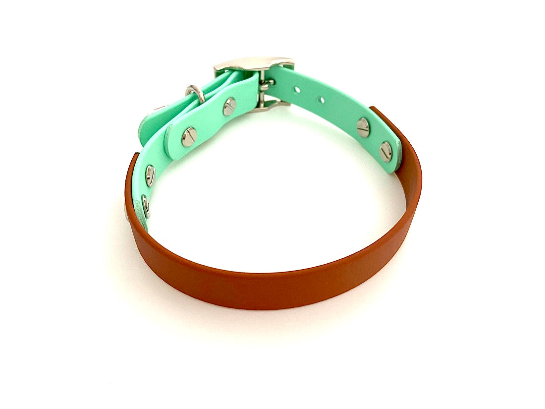 Design Charly - brown meets mint (Biothane Kollektion)