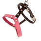 Configuratore di pettorine per cani Design Rio (Collezione Supreme)