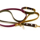 Design Rainbow Autumn (Biothane Collection)