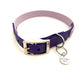 Design Charly - purple celebration (Biothane Kollektion)
