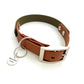 Design Charly - olive meets cognac (Biothane Collection)
