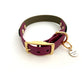 Design Charly - olive meets wine red (Biothane Collection)