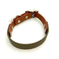 Design Charly - olive meets cognac (Biothane Collection)