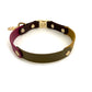 Design Rainbow Autumn (Biothane Collection)