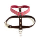 Configuratore di pettorine per cani Design Rio (Collezione Supreme)