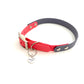 Design Charly - grey meets coral (Biothane Kollektion)
