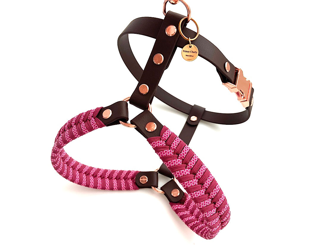 Harmony dog outlet harness