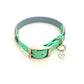 Design Charly - pastel blue meets mint (Biothane Collection)