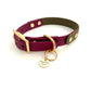 Design Charly - olive meets wine red (Biothane Collection)