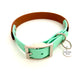 Design Charly - brown meets mint (Biothane Kollektion)