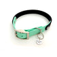 Design Charly - black meets mint (Biothane Collection)