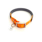 Design Charly - grey meets peach (Biothane Kollektion)