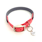 Design Charly - grey meets coral (Biothane Kollektion)